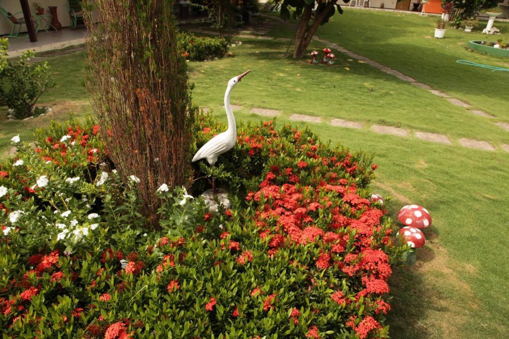 Hotel Jardim Fortaleza  Exterior photo